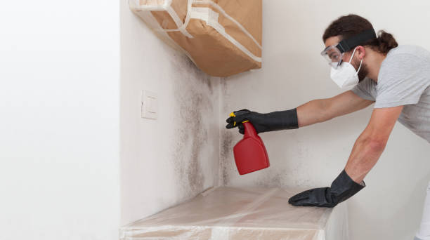Professional Basement Mold Remediation technician working in Brunswick, GA
