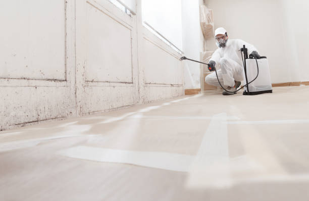 24/7 Emergency Basement Mold Remediation experts in Brunswick, GA