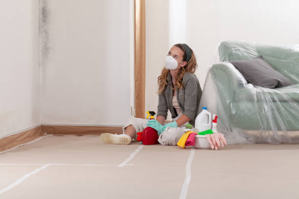 Reliable Basement Mold Remediation contractor in Brunswick, GA by 24 Hour Mold Removal